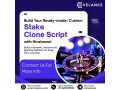 how-does-whitelabel-stake-clone-software-accelerate-market-launch-small-0