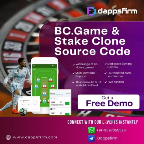 get-full-scale-bcgame-stake-clone-source-code-for-fast-igaming-grow-big-0