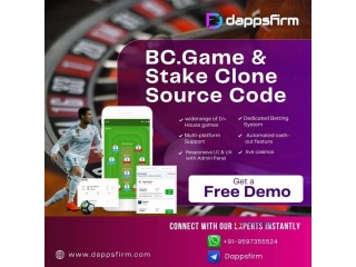 Get Full-Scale BC.Game & Stake Clone Source Code for Fast iGaming Grow